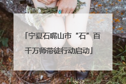 宁夏石嘴山市“石”百千万师带徒行动启动