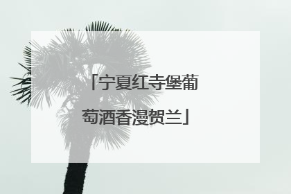 宁夏红寺堡葡萄酒香漫贺兰