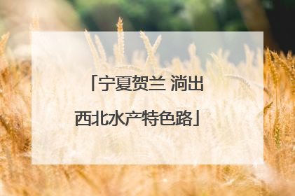 宁夏贺兰 淌出西北水产特色路