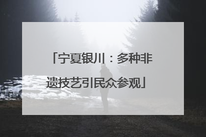 宁夏银川：多种非遗技艺引民众参观