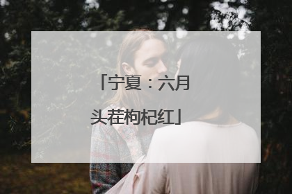 宁夏：六月头茬枸杞红