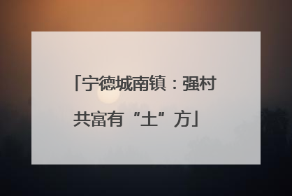 宁德城南镇：强村共富有“土”方