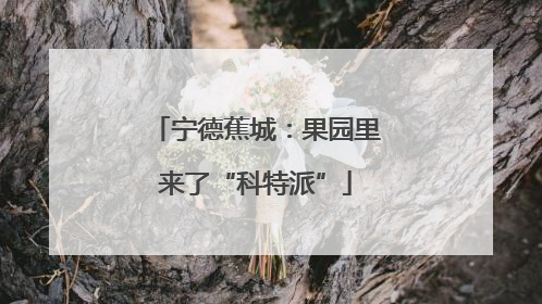 宁德蕉城：果园里来了“科特派”