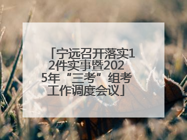 宁远召开落实12件实事暨2025年“三考”组考工作调度会议