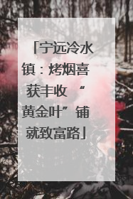 宁远冷水镇：烤烟喜获丰收 “黄金叶”铺就致富路