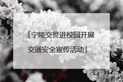 宁陵交警进校园开展交通安全宣传活动