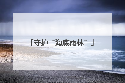 守护“海底雨林”