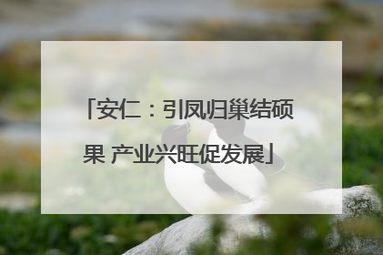 安仁：引凤归巢结硕果 产业兴旺促发展