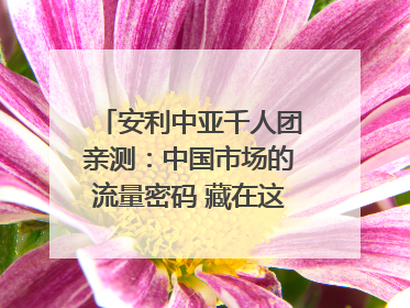 安利中亚千人团亲测：中国市场的流量密码 藏在这些细节里