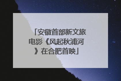 安徽首部新文旅电影《风起秋浦河》在合肥首映