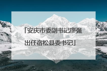 安庆市委副书记廖强出任宿松县委书记