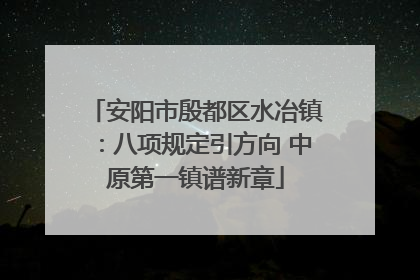 安阳市殷都区水冶镇：八项规定引方向 中原第一镇谱新章