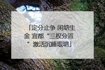 定分止争 闲塘生金 宜都“三权分置”激活沉睡堰塘