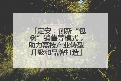 定安：创新“包树”销售等模式，助力荔枝产业转型升级和品牌打造