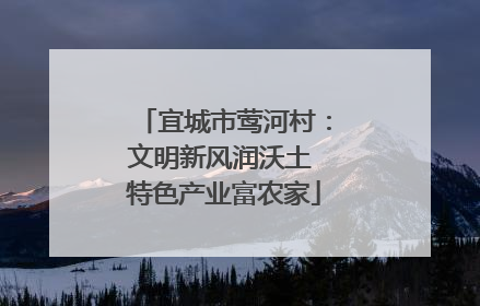 宜城市莺河村：文明新风润沃土 特色产业富农家