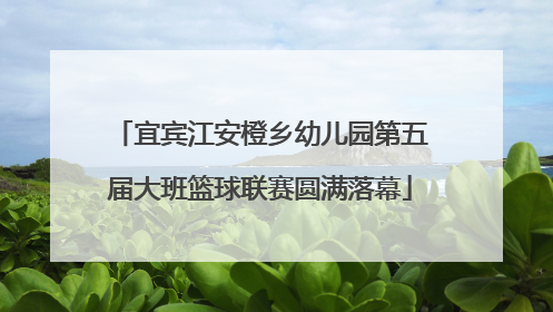 宜宾江安橙乡幼儿园第五届大班篮球联赛圆满落幕