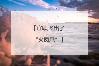 宜职飞出了“火凤凰”