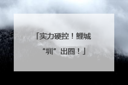实力硬控！鲤城“圳”出圈！