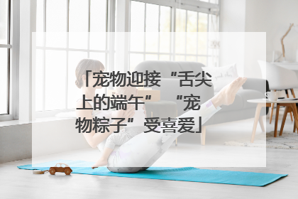 宠物迎接“舌尖上的端午” “宠物粽子”受喜爱