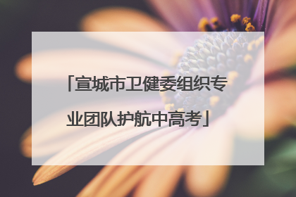 宣城市卫健委组织专业团队护航中高考