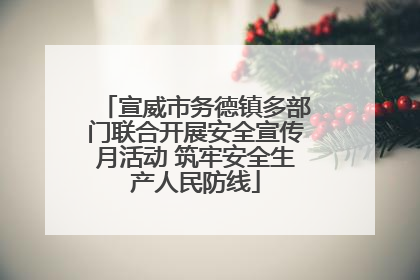 宣威市务德镇多部门联合开展安全宣传月活动 筑牢安全生产人民防线
