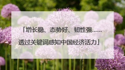 增长稳、态势好、韧性强……透过关键词感知中国经济活力