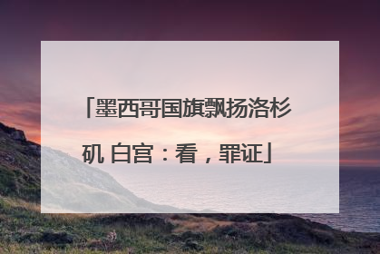 墨西哥国旗飘扬洛杉矶 白宫：看，罪证