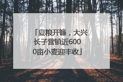 夏粮开镰，大兴长子营镇近6000亩小麦迎丰收