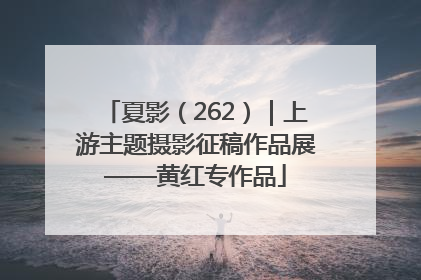 夏影（262）｜上游主题摄影征稿作品展——黄红专作品
