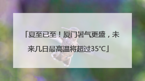 夏至已至！厦门暑气更盛，未来几日最高温将超过35℃