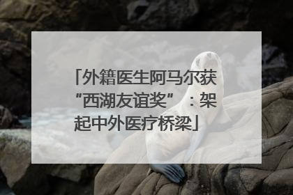 外籍医生阿马尔获“西湖友谊奖”：架起中外医疗桥梁