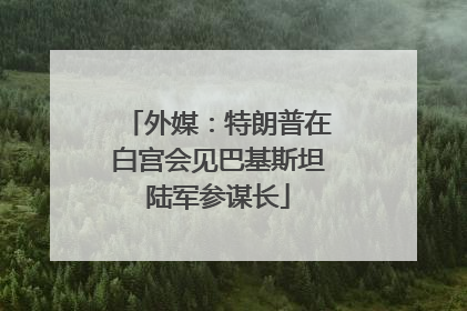 外媒：特朗普在白宫会见巴基斯坦陆军参谋长