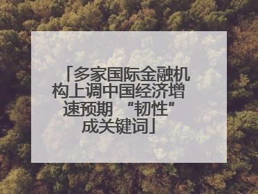 多家国际金融机构上调中国经济增速预期 “韧性”成关键词