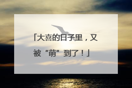 大喜的日子里，又被“萌”到了！