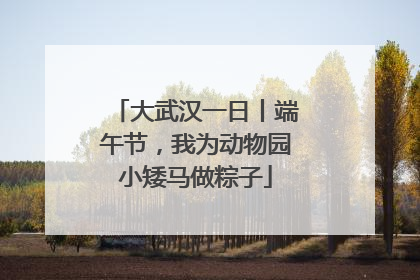 大武汉一日丨端午节，我为动物园小矮马做粽子