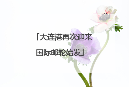 大连港再次迎来国际邮轮始发