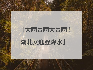 大雨暴雨大暴雨！湖北又迎强降水