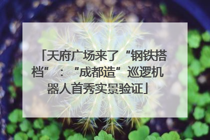天府广场来了“钢铁搭档”：“成都造”巡逻机器人首秀实景验证