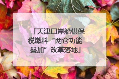 天津口岸船供保税燃料“两仓功能叠加”改革落地