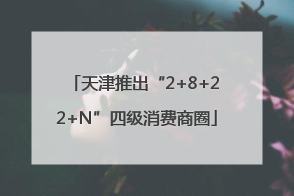 天津推出“2+8+22+N”四级消费商圈