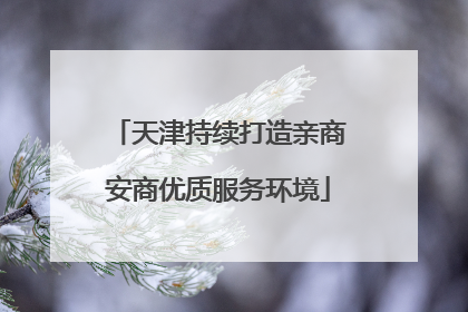 天津持续打造亲商安商优质服务环境
