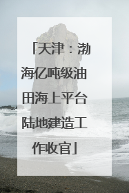 天津：渤海亿吨级油田海上平台陆地建造工作收官