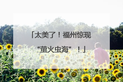 太美了！福州惊现“萤火虫海”！