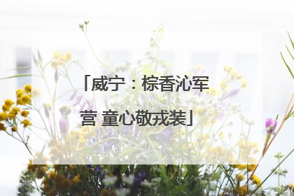 威宁：棕香沁军营 童心敬戎装
