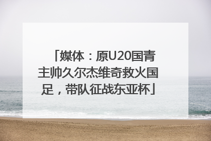 媒体：原U20国青主帅久尔杰维奇救火国足，带队征战东亚杯