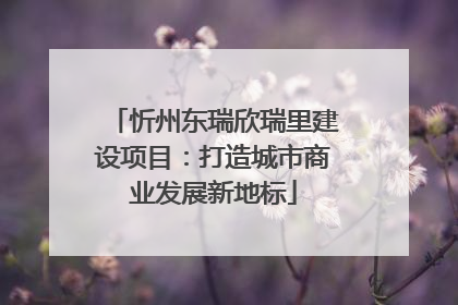 忻州东瑞欣瑞里建设项目：打造城市商业发展新地标