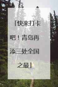 快来打卡吧！青岛再添三处全国之最