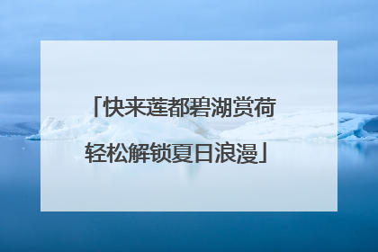 快来莲都碧湖赏荷 轻松解锁夏日浪漫