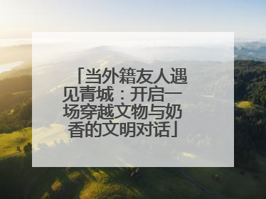当外籍友人遇见青城：开启一场穿越文物与奶香的文明对话