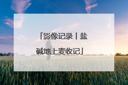 影像记录丨盐碱地上麦收记